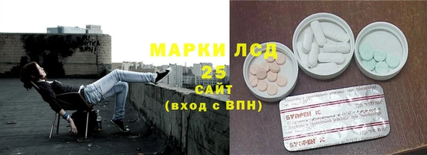 гидра Володарск
