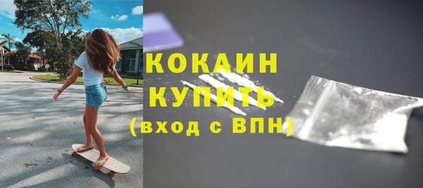 гидра Володарск