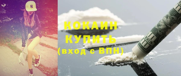 гидра Володарск