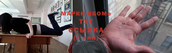 гидра Володарск