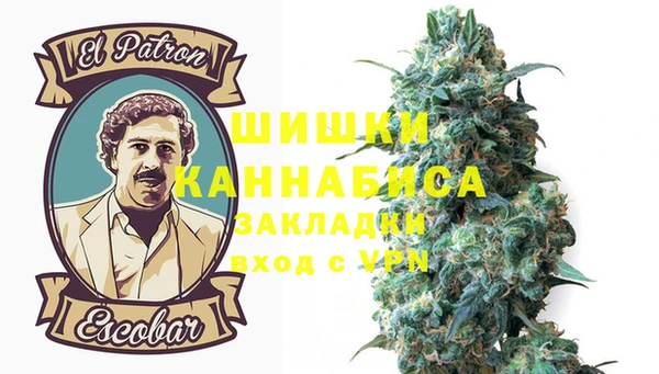 гидра Володарск