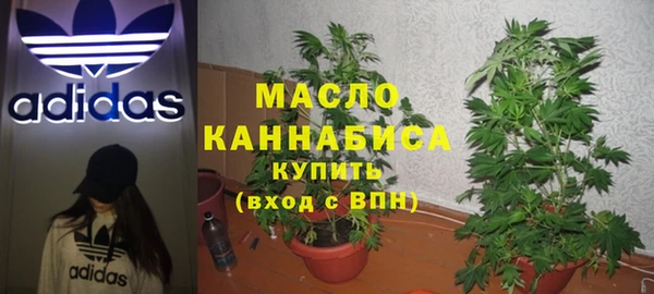 гидра Володарск